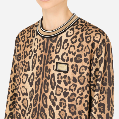 Dolce & Gabbana Leopard-print Jersey Sweatshirt In Multicolor