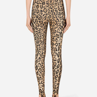 Shop Dolce & Gabbana Leopard-print Spandex/jersey Leggings In Multicolor