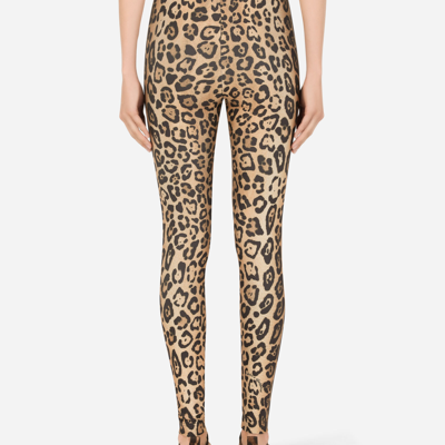 Leopard-print Spandex/jersey Leggings In Multicolor