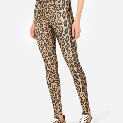 Shop Dolce & Gabbana Leopard-print Spandex/jersey Leggings In Multicolor