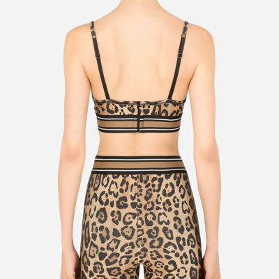 Dolce & Gabbana Leopard-print Cropped Tank Top In Multicolor