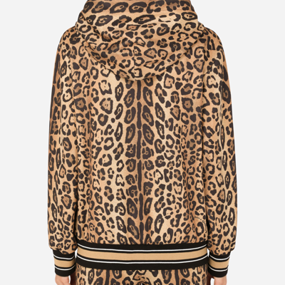 Dolce & Gabbana Zip-up Jersey Hoodie With Leopard Print In Multicolor