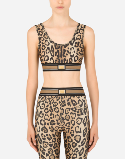 Shop Dolce & Gabbana Leopard-print Spandex/jersey Crop Top In Multicolor
