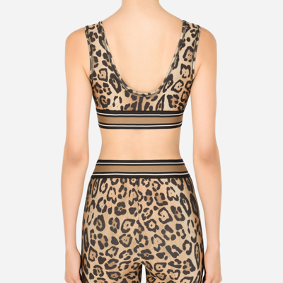 Shop Dolce & Gabbana Leopard-print Spandex/jersey Crop Top In Multicolor