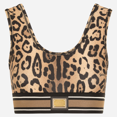 Shop Dolce & Gabbana Leopard-print Spandex/jersey Crop Top In Multicolor