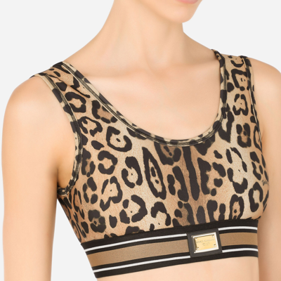 Shop Dolce & Gabbana Leopard-print Spandex/jersey Crop Top In Multicolor