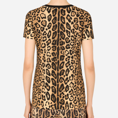 Dolce & Gabbana Short-sleeved Leopard-print Jersey T-shirt In Multicolor