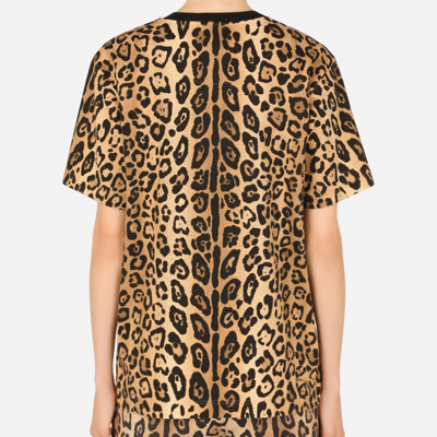 Dolce & Gabbana Short-sleeved Leopard-print Jersey T-shirt In Multicolor