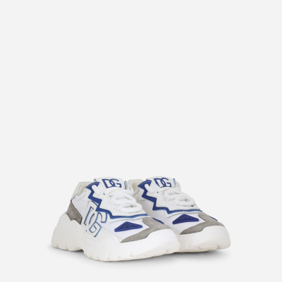Dolce & Gabbana Daymaster Dg Low-top Sneakers In Multicolor