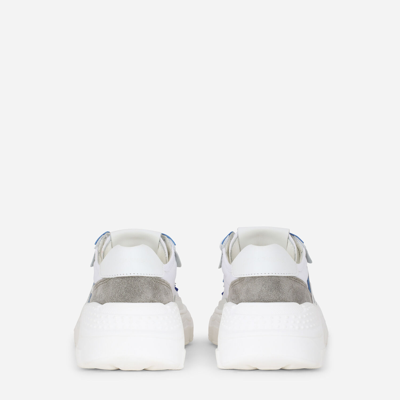 Dolce & Gabbana Daymaster Dg Low-top Sneakers In Multicolor