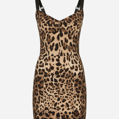 Shop Dolce & Gabbana Corset Dress In Animal Print