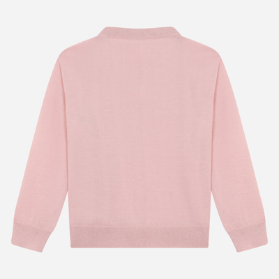 Shop Dolce & Gabbana Cashmere Round-neck Sweater With Dg Logo Embroidery In Pink