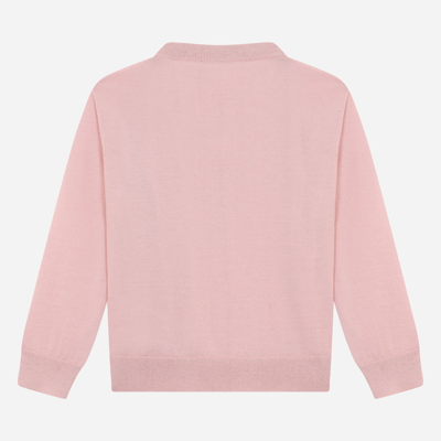Dolce & Gabbana Cashmere Round-neck Sweater With Dg Logo Embroidery In Pink