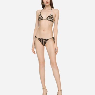 Shop Dolce & Gabbana Triangle Bikini Top With Leopard Print In Animal Print
