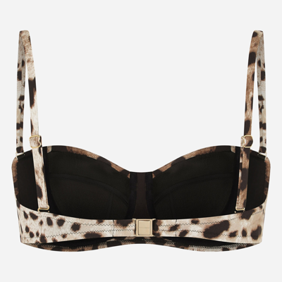 Shop Dolce & Gabbana Leopard-print Balconette Bikini Top In Stampa Leo