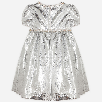 Shop Dolce & Gabbana Sequined Dress With Jewel Decorations In Silver