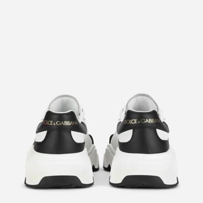 Shop Dolce & Gabbana Nappa Leather Daymaster Sneakers In White/black