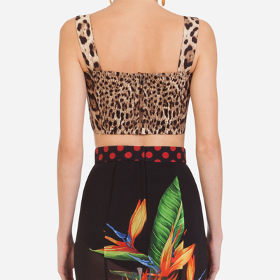 Dolce & Gabbana Leopard-print Bra Crop Top W/ Tie Front In Animal Print