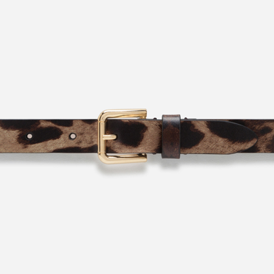 Shop Dolce & Gabbana Calfskin Belt With Leopard Print In Animal Print