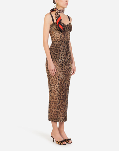 Shop Dolce & Gabbana Longuette Tulle Dress With Leopard Print In Animal Print