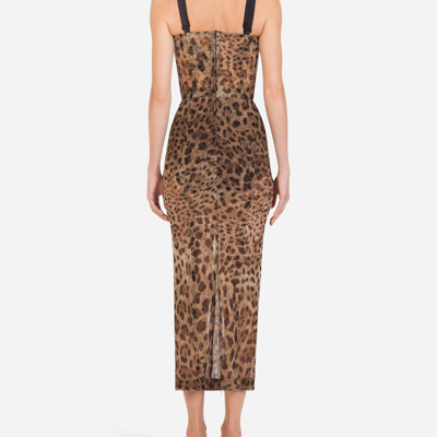 Dolce & Gabbana Longuette Tulle Dress With Leopard Print In Animal Print