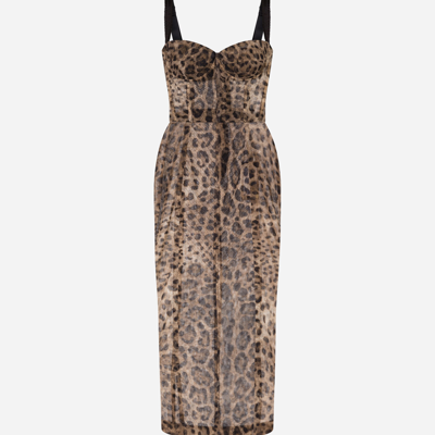 Dolce & Gabbana Longuette Tulle Dress With Leopard Print In Animal Print
