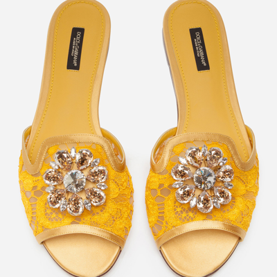 Shop Dolce & Gabbana Slippers In Lace With Crystals In Yellow