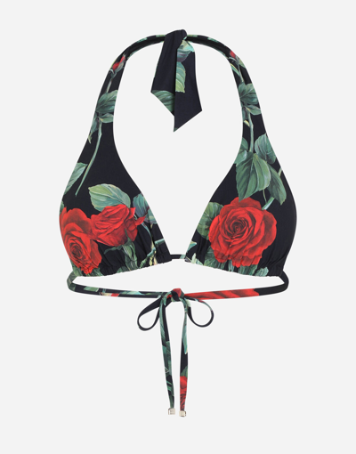 Shop Dolce & Gabbana Rose-print Padded Triangle Bikini Top In Multicolor