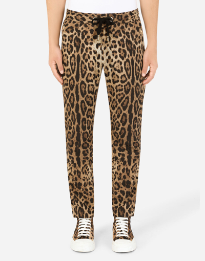 Shop Dolce & Gabbana Cotton Jogging Pants With Leopard Print In Animal Print