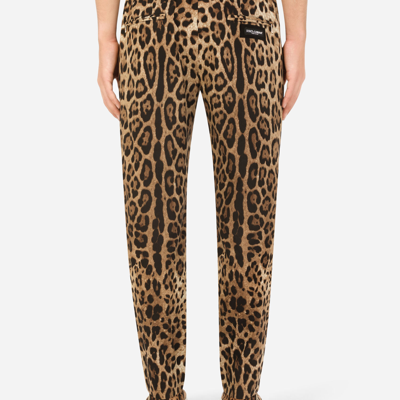 Shop Dolce & Gabbana Cotton Jogging Pants With Leopard Print In Animal Print