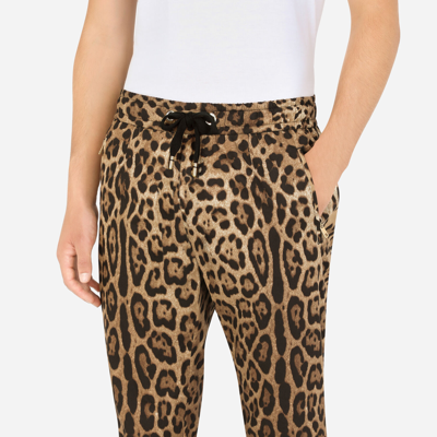 Shop Dolce & Gabbana Cotton Jogging Pants With Leopard Print In Animal Print
