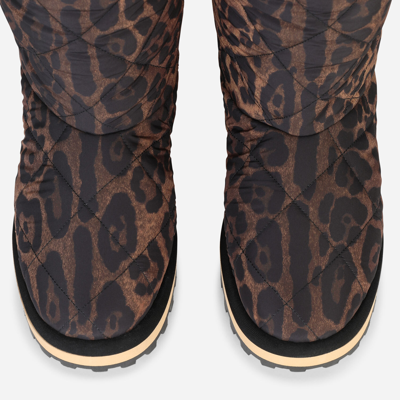 Shop Dolce & Gabbana Leopard-print Nylon City Boots In Leo Print