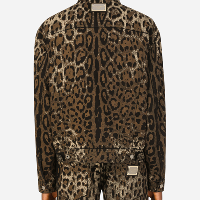 Dolce & Gabbana Leopard Print Blouson Jacket In Multicolor
