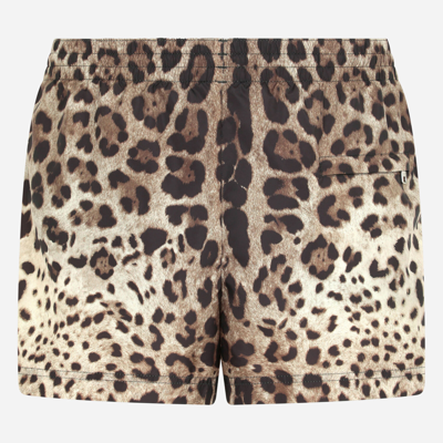 Dolce & Gabbana Short Swim Trunks With Leopard Print In Leo Print