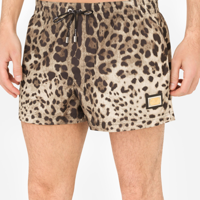 Dolce & Gabbana Short Swim Trunks With Leopard Print In Leo Print