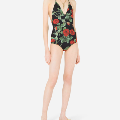 Shop Dolce & Gabbana Rose-print One-piece Swimsuit In Multicolor