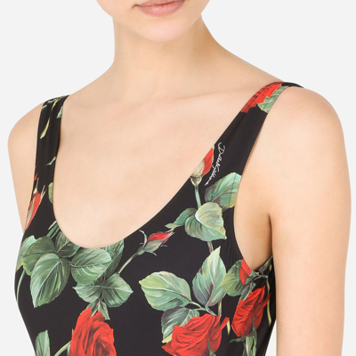 Shop Dolce & Gabbana Rose-print One-piece Swimsuit In Multicolor