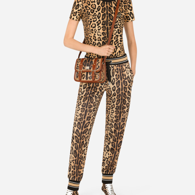 Dolce & Gabbana Small Messenger Bag In Leopard-print Crespo With Branded Plate In Multicolor
