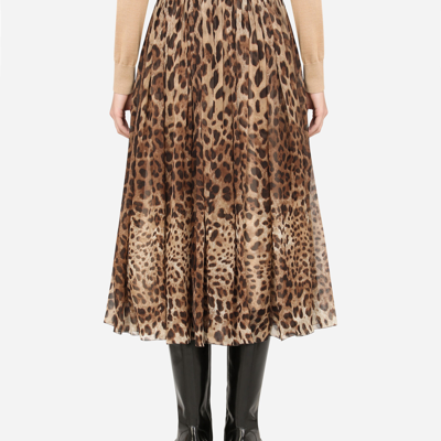 Shop Dolce & Gabbana Leopard-print Chiffon Midi Skirt In Multicolor