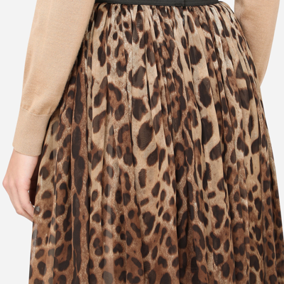 Shop Dolce & Gabbana Leopard-print Chiffon Midi Skirt In Multicolor