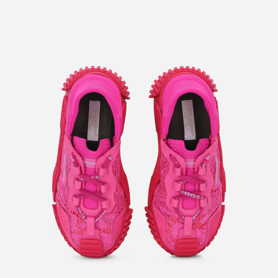 Shop Dolce & Gabbana Cordonetto Lace Ns1 Sneakers In Fuchsia