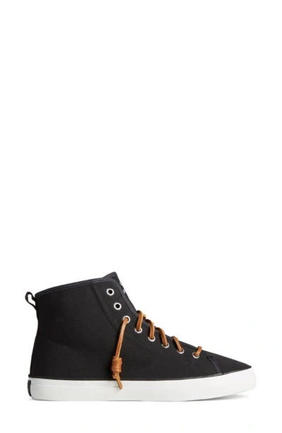 Shop Sperry Top-sider® Crest Seacycled™ High Top Sneaker In Black