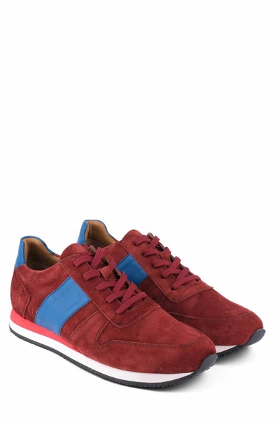 Shop Vellapais Nova Sd Sneaker In Burgundy