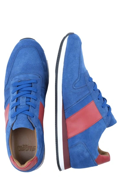 Shop Vellapais Nova Sd Sneaker In Blue