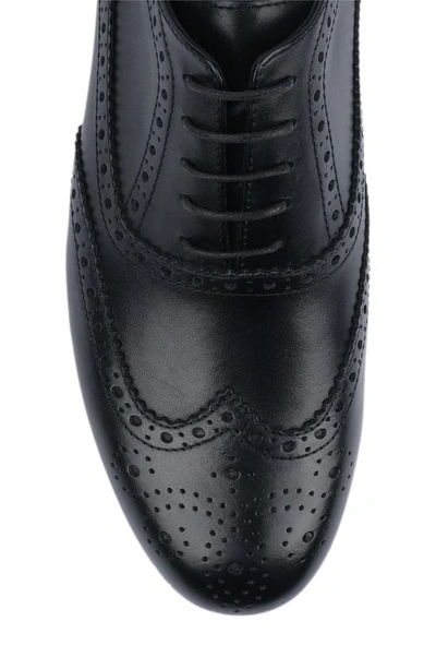 Shop Vellapais Euronapa Leather Wingtip Sneaker In Black