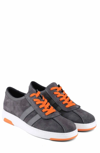 Shop Vellapais Artemis Sneaker In Gray