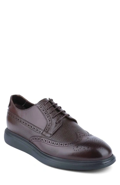 Shop Vellapais Mare Leather Wingtip Sneaker In Dark Brown