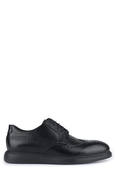 Shop Vellapais Mare Leather Wingtip Sneaker In Black