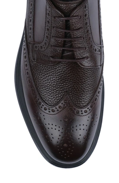 Shop Vellapais Mare Leather Wingtip Sneaker In Dark Brown