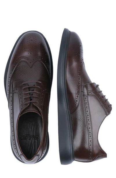 Shop Vellapais Mare Leather Wingtip Sneaker In Dark Brown